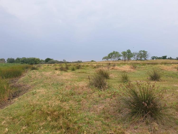 Teren intravilan in Delta Dunarii, C.A. Rosetti - Cardon - 6