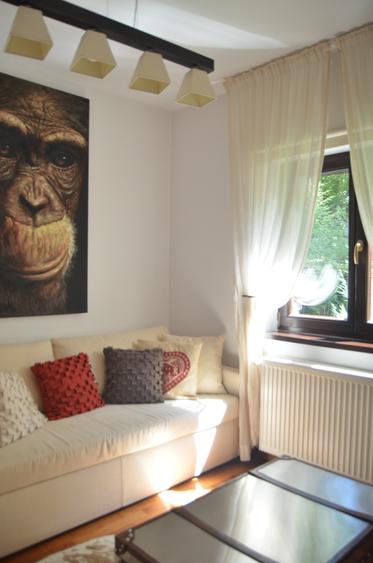 Predeal-Casa de vacanta 4 (patru)camere - 4