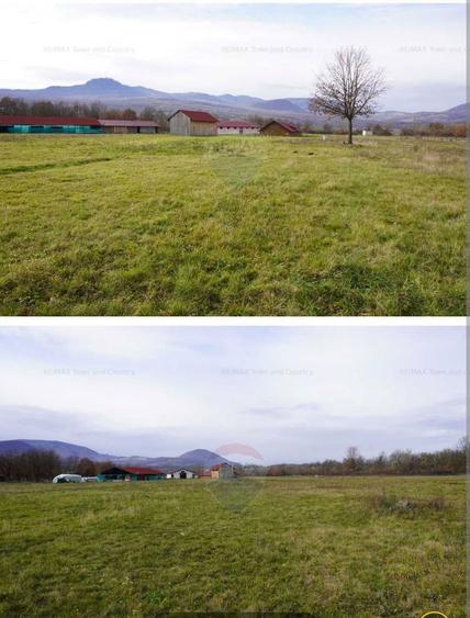 Vand Teren + Ferma+ Balta de peste in Comuna Sapanta judetul Maramures - 8