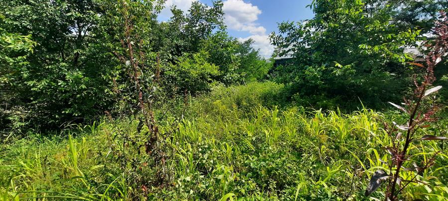 Teren intravilan zona Imparat Traian - 2