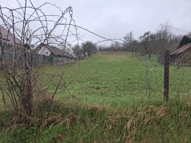 Vand teren intravilan - 3