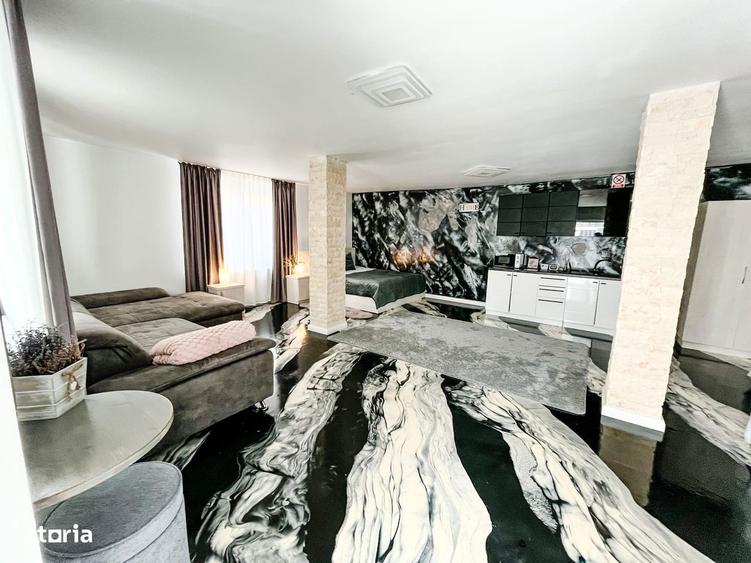 Casa de vacan?a Some?ul Rece Preluare afacere Zona de munte - 6