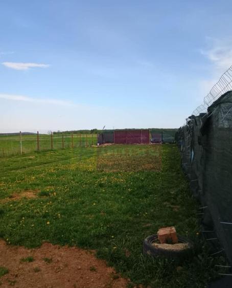 Teren cu constructie de vanzare in Urleta - 5