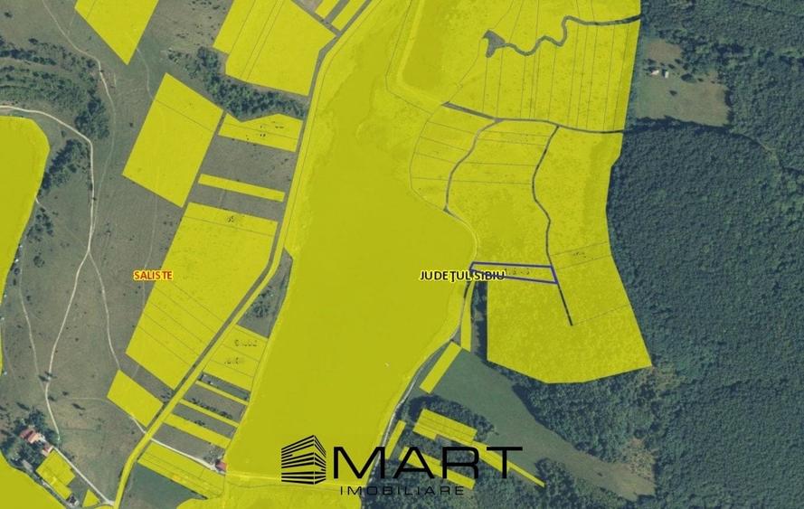 Teren extravilan 3200mp lac Sacel - 6