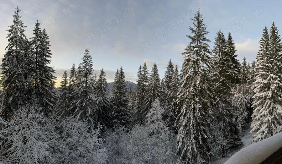 Apartament de vanzare, 2 camere, Predeal, zona Belverede - 8