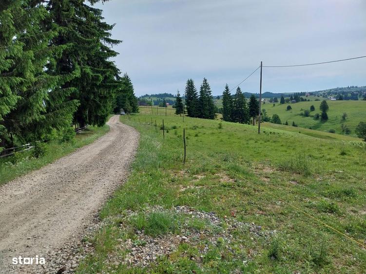 De vanzare! Parcele teren, construibil,in Piatra Fantanele BN! - 5