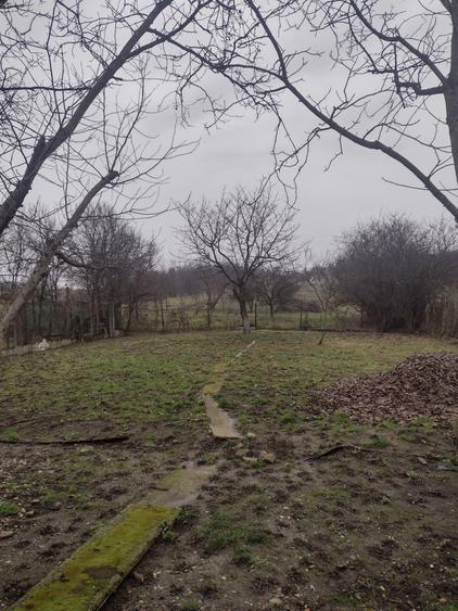 Casa Tautii Magheraus zona centrala - 2