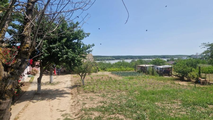 MAHMUDIA-TERENURI SI CASE - 1