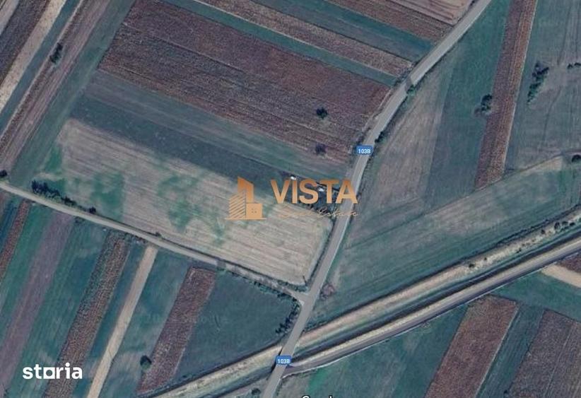 Teren de 5755 mp, în Dobârlău