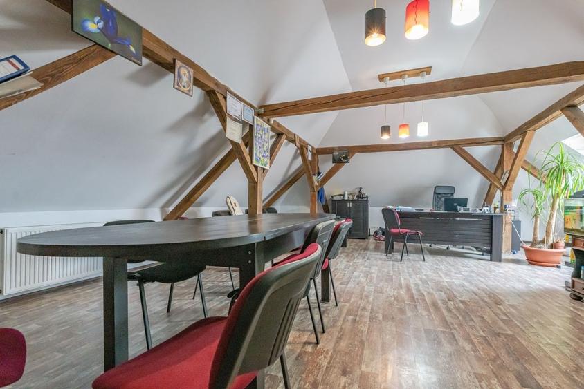 CASA BARTOLOMEU- sediu firma/ comercial/ servicii- zona circulata - 7