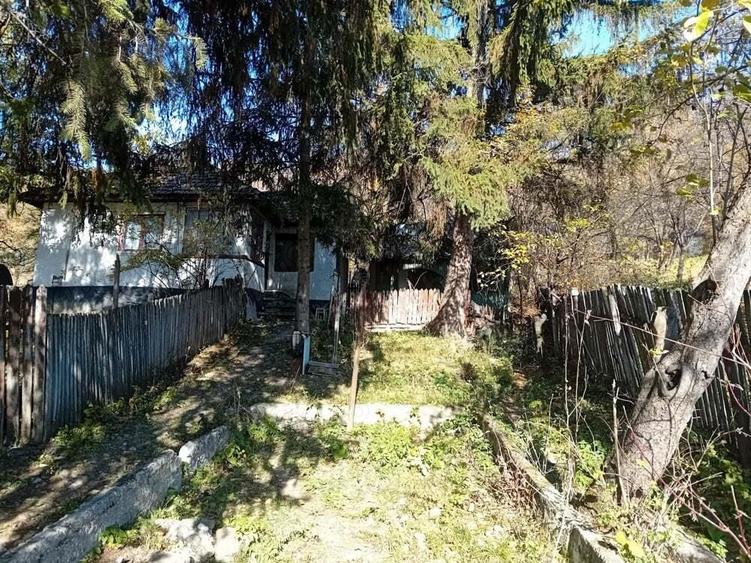 Casa + teren de vacanta Scorteni , Mislea - 7