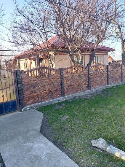 Casa de vanzare Pogoanele, jude?ul Buzau - 10