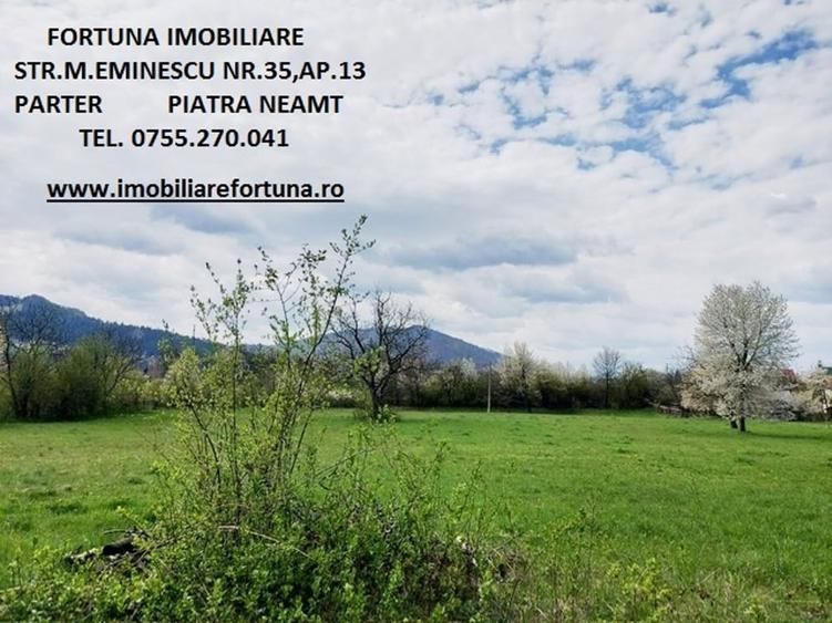 Teren intravilan, Alexandru cel Bun - 2