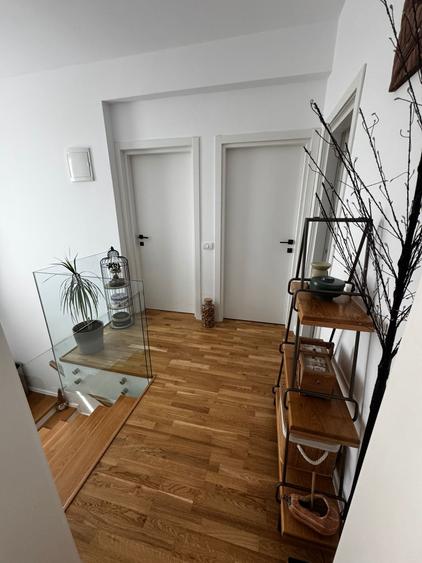 Casa individuala de lux langa complex Moara - 19