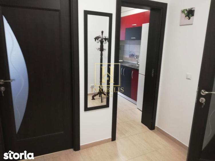 Apartament 1 camera Dec 40 mp. Bucium 300 euro - 6