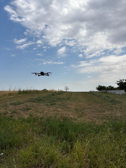 Teren Budeni - Delta Comana - Giurgiu - 11