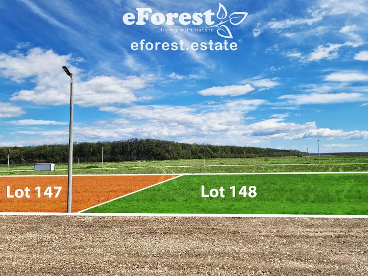 Terenuri premium de vanzare, langa padure, acces asfaltat din DN1A - 5