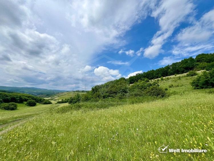 Oportunitate investitie, teren cu panorama pentru cabane - 2