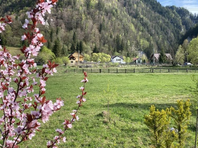 Teren panoramic insorit, utilitati, panta mica si padure, turism sau vacanta - 14
