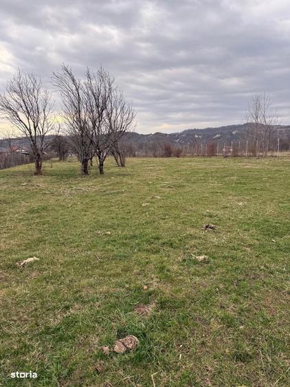 Brebu - teren intravilan 5200mp parcelabil - 25 Euro/mp - 8