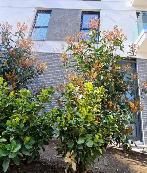 Apartament cu 3 camere decomandat în Timpuri Noi