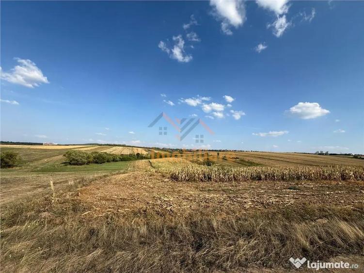 TEREN INTRAVILAN 2877 MP | DUBLU FRONT | CORDAU - 3