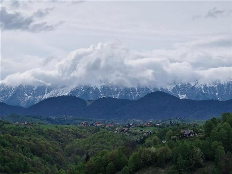 7.000 mp, pozitie spectaculoasa, fara vecini, Fundatica, Brasov - 10
