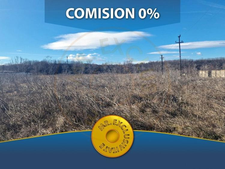 26.000 MP TEREN+HALA COSTESTI - 1