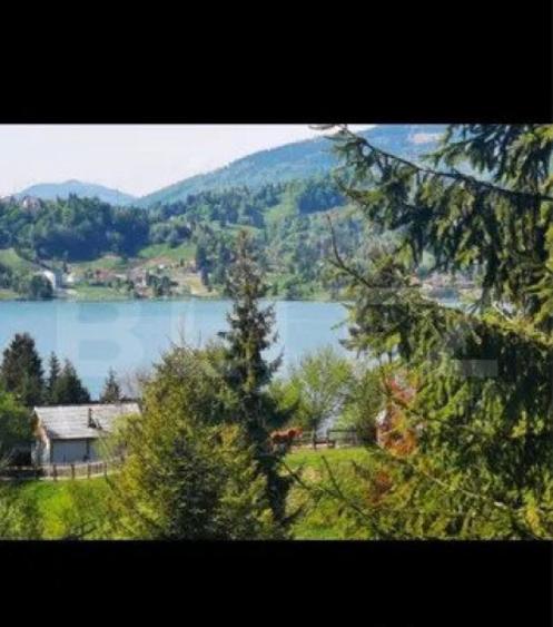 Teren Colibita, 1120 mp - 7