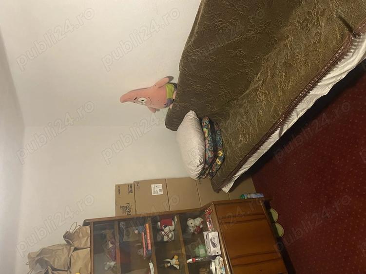 Casa de vanzare necesita cateva renovari - 6