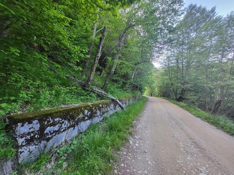 Teren de 12.000 mp la Vama Buzăului – Locație de Vis cu PUZ Aprobat - 11