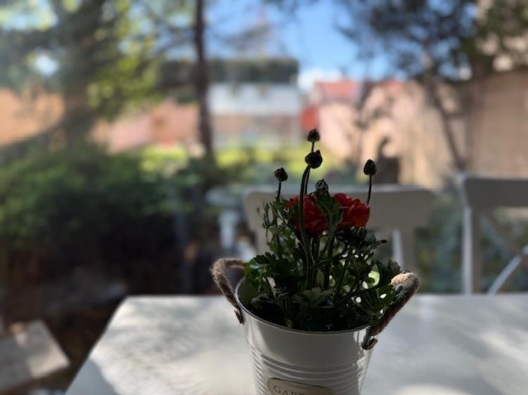 Casă de vânzare în Braytim, Timișoara Liniște, Confort și Accesibilitate! - 1