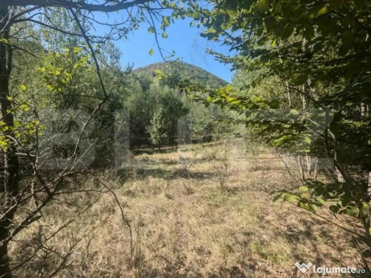 Teren extravilan de vanzare, 3.5 ha padure + pasune in Comun - 10