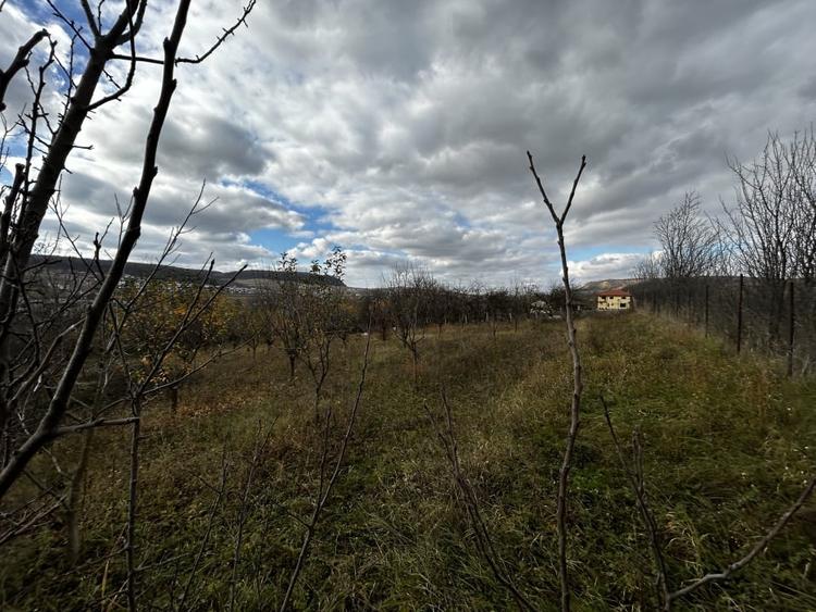 Teren intravilan in Chinteni 1.250mp pentru case sau Duplex - 3