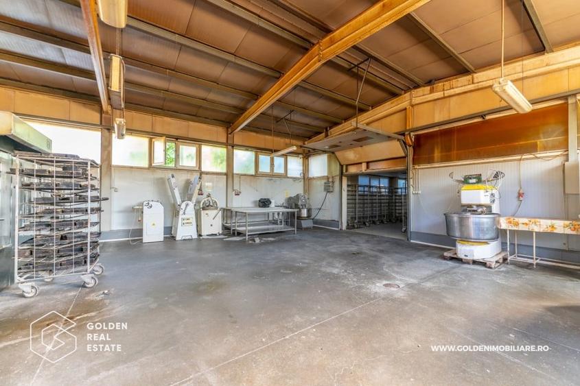 Locuinta de familie cu spatiu ideal pentru dezvoltarea unei afaceri - 15