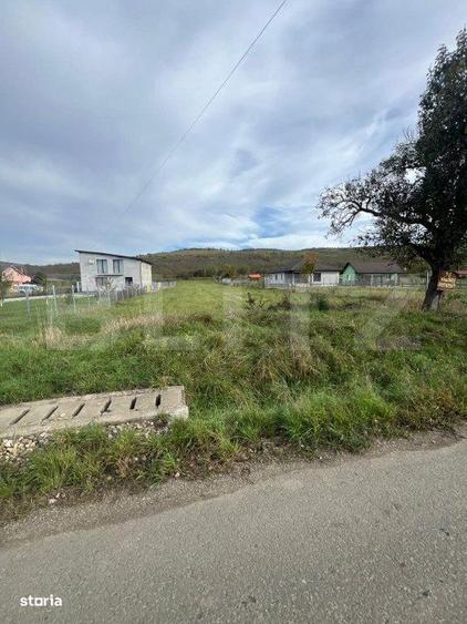 Teren de Vanzare, foarte aproape de Crama Jelna - 5