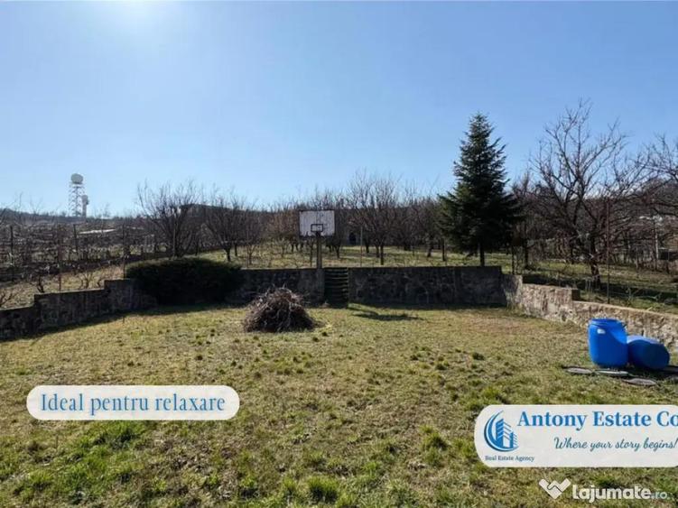 Casa cu Livada proprietate deosebita cu livada si cur... - 8