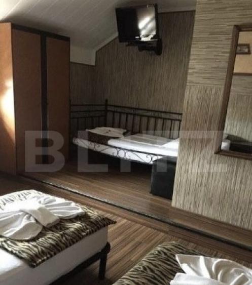 Pensiune de inchiriat, 450 mp, zona Lugojului - 4