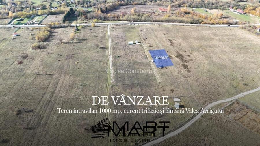 Teren 1000 mp, curent trifazic si fantana  Valea Avrigului
