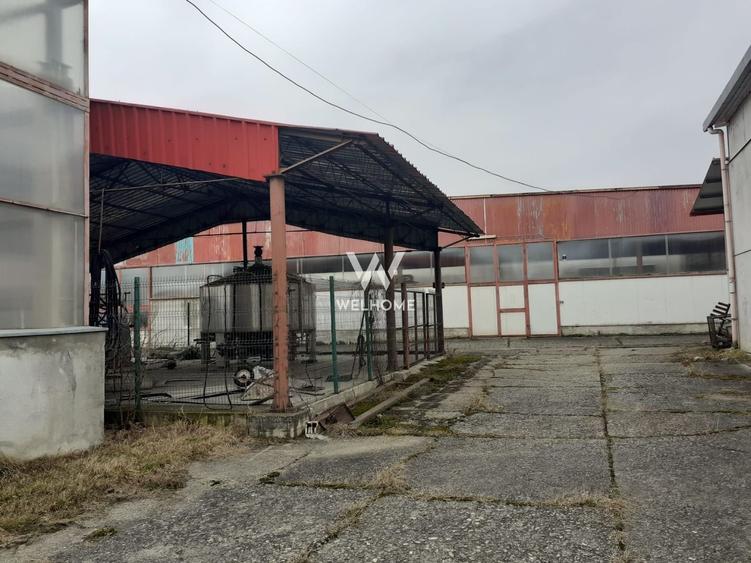 Hala de productie/depozitare si teren 15000 mp - Marsa -Sibiu - 9