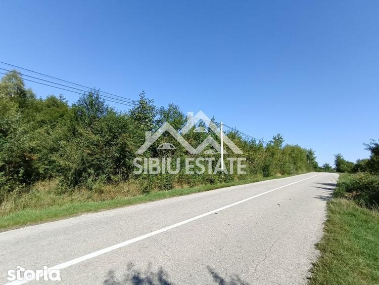 Teren construibil ,la sosea, intre Vale si Sibiel, zona cu potential - 13