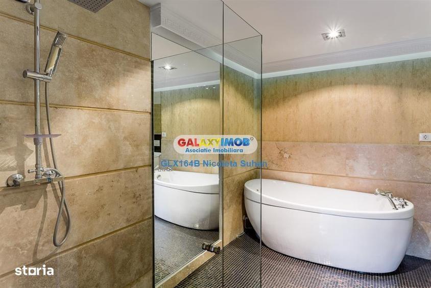 Triplex \/Penthouse Spectaculos Nordului \/ Parc Herastrau - 3