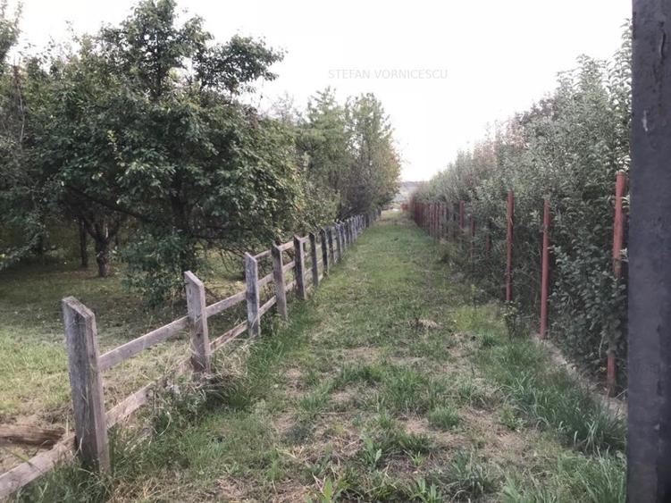 Teren la Strada EUROPEANA , CU TOATE UTILITATILE parcele de case - 6