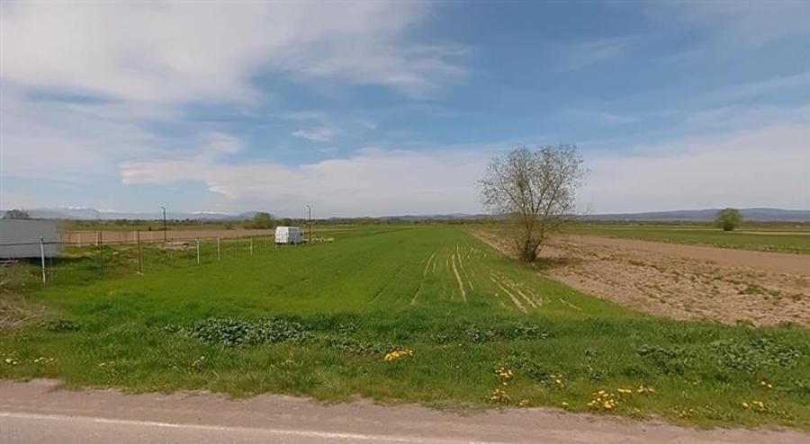 Teren extravilan de 5755 mp in Dobarlau, la 25 km de Brasov - 1