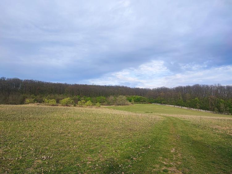 Teren imprejmuit 6,40 ha - 2