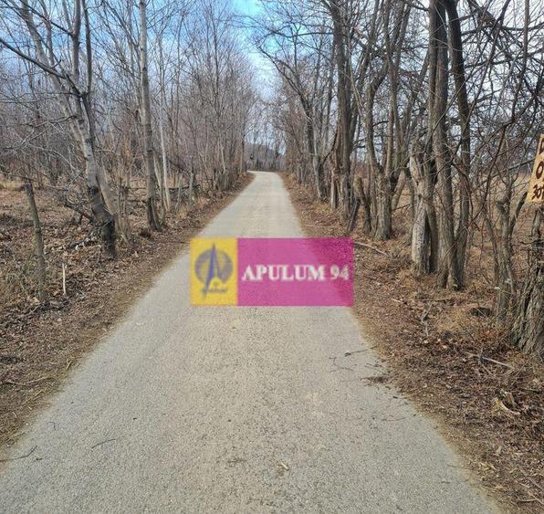 Teren intravilan de vanzare in Cornu de Jos - 1