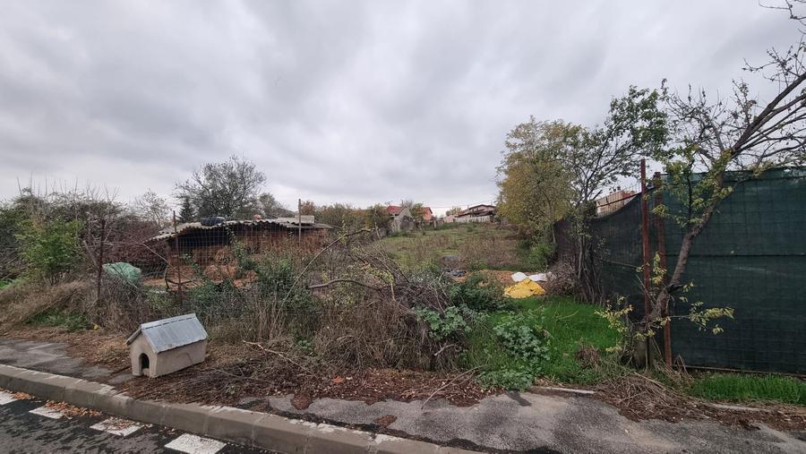 Teren dobroesti la lac - 2