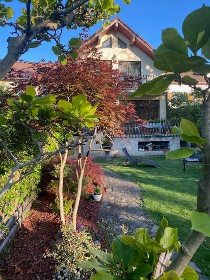 Casa superba Parcul Subarini - 1