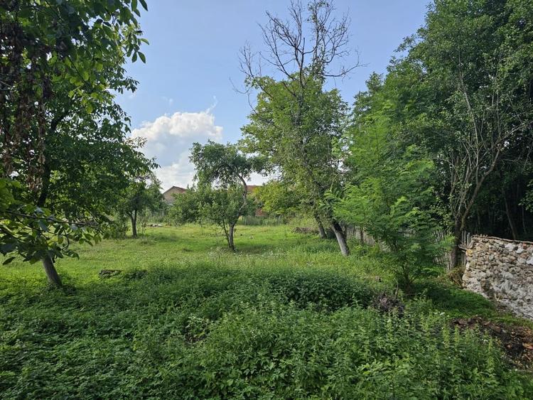 Teren intravilan - constructii, Suprafata 5.200 mp, Varzarii de Jos - 2