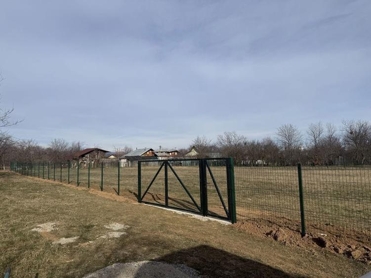 Teren intravilan Baicoi (Tufeni) - 7